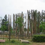 Eucalyptus Grove Topping