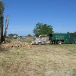 Eucalyptus Grove Topping